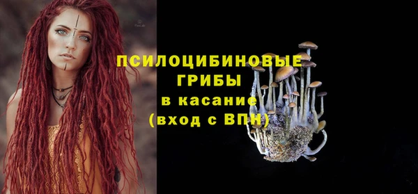 Альфа ПВП Пестово