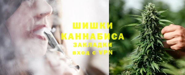 Альфа ПВП Пестово