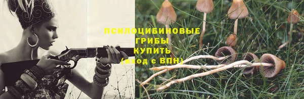 крисы Переславль-Залесский