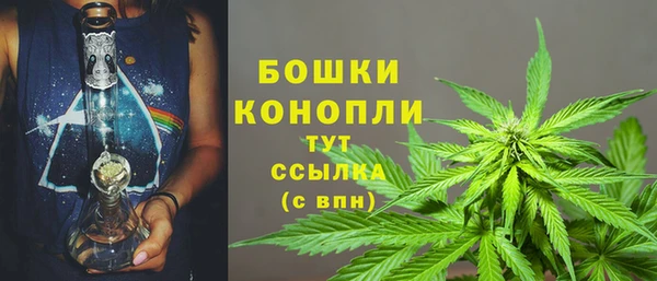 Альфа ПВП Пестово